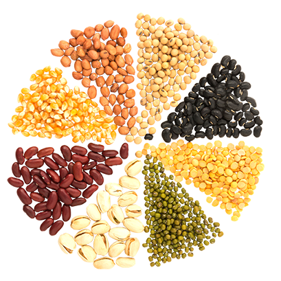 pulses_primacy